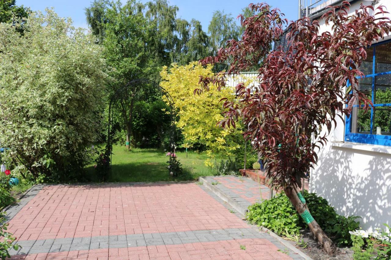 Ferienwohnung Kranichblick 징스트 외부 사진