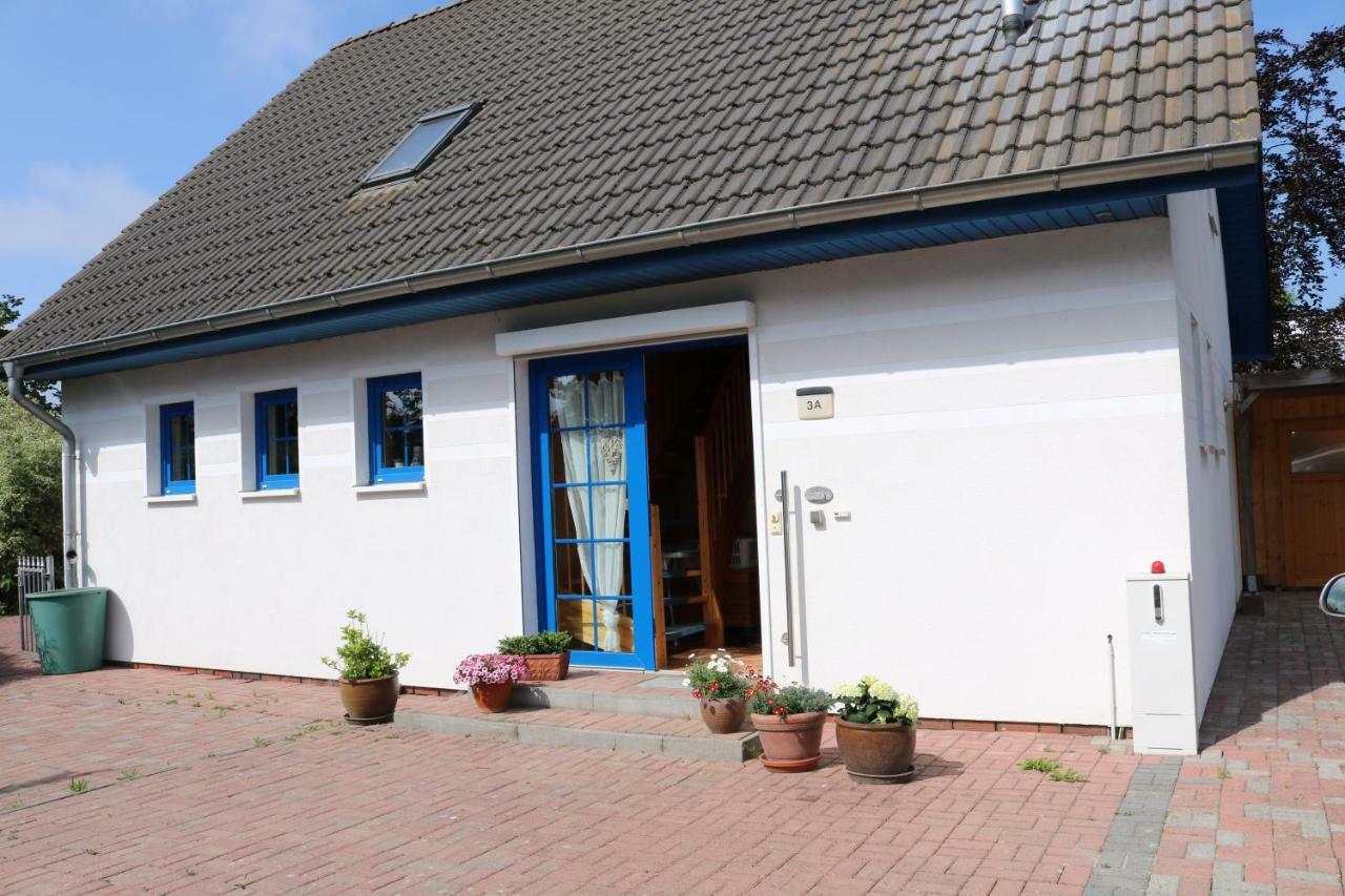 Ferienwohnung Kranichblick 징스트 외부 사진
